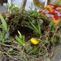 2012_03_17__Fruehling__117