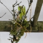 2013_03_02__Hausmesse__050