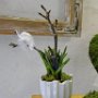 2014_03_22__Ausstellung__007