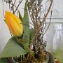 2014_03_22__Ausstellung__046