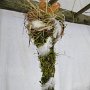 2014_03_22__Ausstellung__050