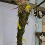 2014_03_22__Ausstellung__051