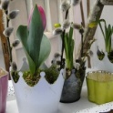 2016_03_12__Frühling__008