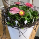 2016_03_12__Frühling__013