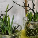 2016_03_12__Frühling__020