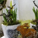 2016_03_12__Frühling__037