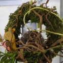 2016_03_12__Frühling__056