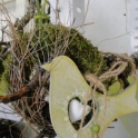 2016_03_12__Frühling__057