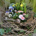 2016_03_12__Frühling__082