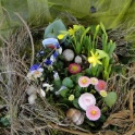 2016_03_12__Frühling__083