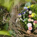 2016_03_12__Frühling__089