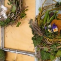 2016_03_12__Frühling__091