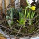 2016_03_12__Frühling__097