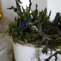 2016_03_12__Frühling__100
