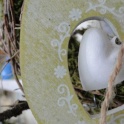 2016_03_12__Frühling__134