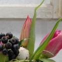 2016_03_12__Frühling__219